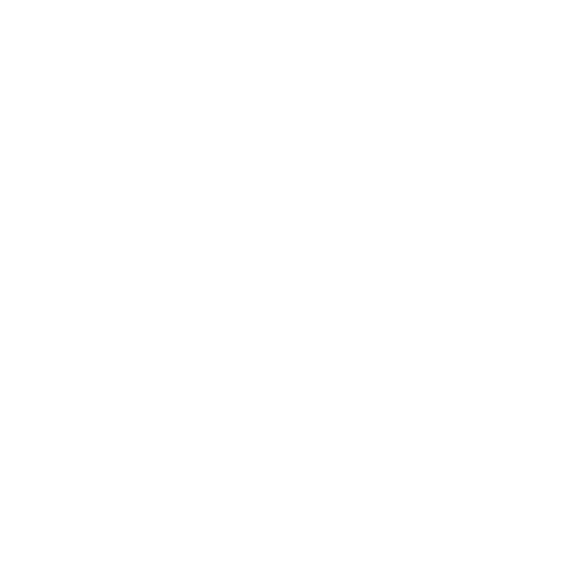 Copy icon